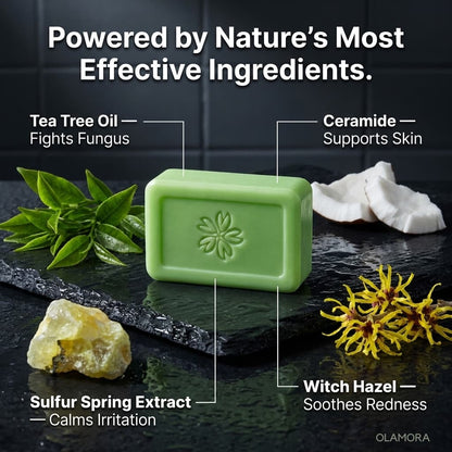 OLAMORA Antifungal Tea Tree Bar